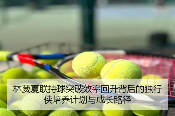 林葳夏联持球突破效率回升背后的独行侠培养计划与成长路径