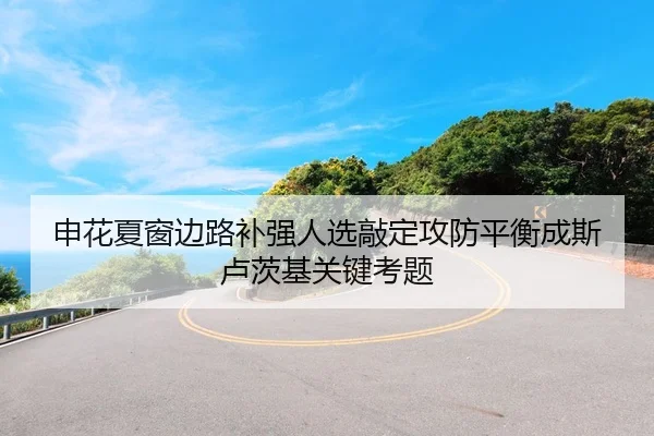 申花夏窗边路补强人选敲定攻防平衡成斯卢茨基关键考题